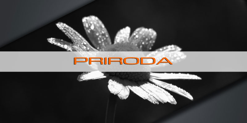 fotografiranje prirode